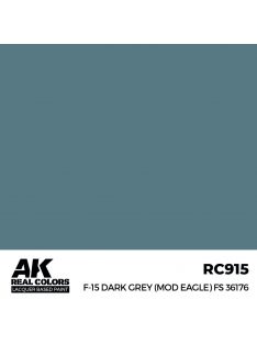 AK Interactive - F-15 Dark Grey (MOD EAGLE) FS 36176 17 ml.