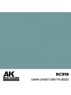 AK Interactive - Dark Ghost Grey FS 36320 17 ml.