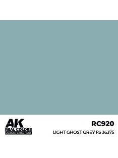 AK Interactive - Light Ghost Grey FS 36375 17 ml.