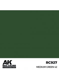 AK Interactive - Medium Green 42 17 ml.