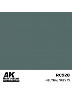 AK Interactive - Neutral Grey 43 17 ml.