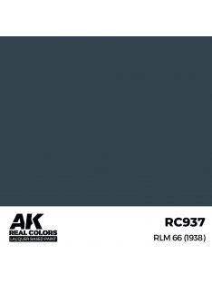 AK Interactive - RLM 66 (1938) 17 ml.