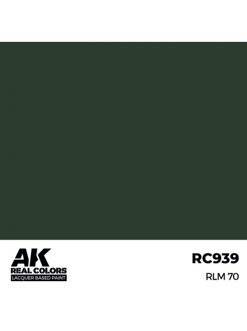 AK Interactive - RLM 70 17 ml.