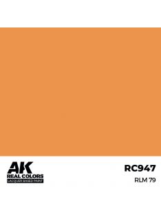 AK Interactive - RLM 79 17 ml.