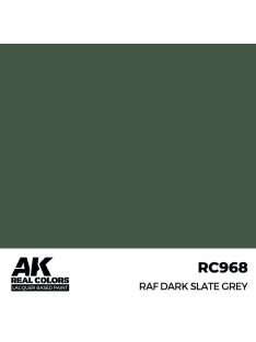 AK Interactive - RAF Dark Slate Grey 17 ml.