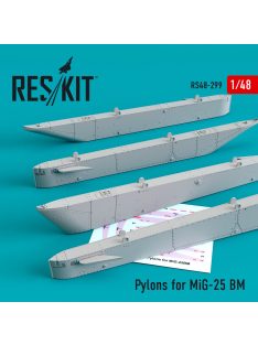 Reskit - Pylons for MiG-25 BM (1/48)