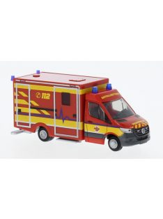   Rietze - Wietmarscher Ambulanzfahrzeuge RTW, 2018, Feuerwehr Delmenhorst, 1:87