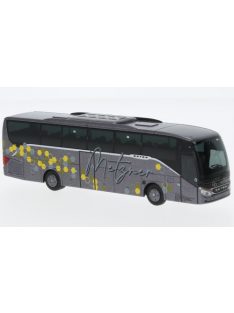 Rietze - Setra S 515 HD, Metzner Omnibus Bamberg, 1:87