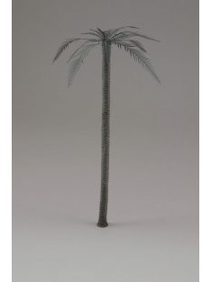 Royal Model - Palm