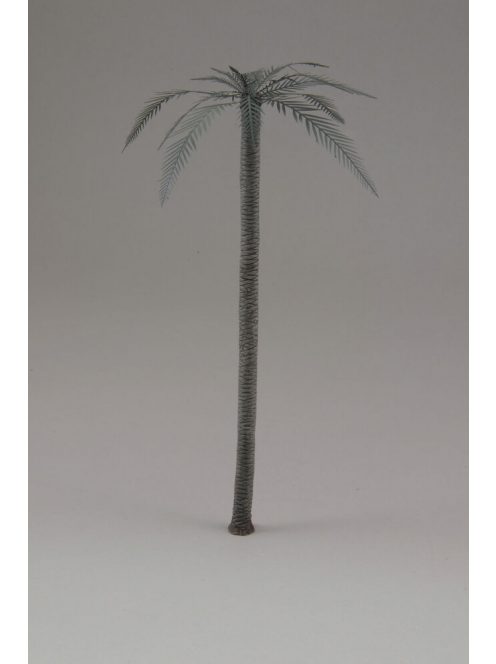 Royal Model - Palm