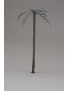 Royal Model - Palm