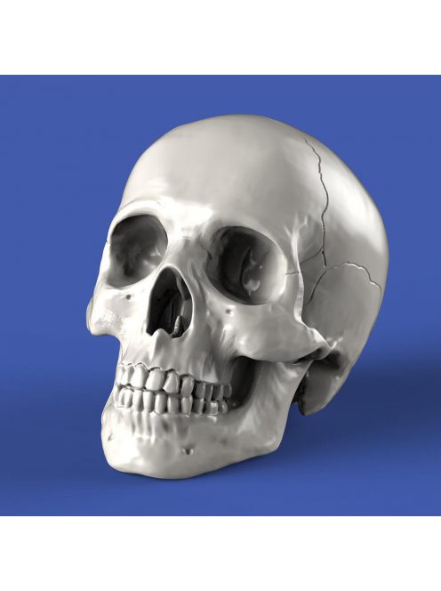 Royal Model - Skulls (75mm)