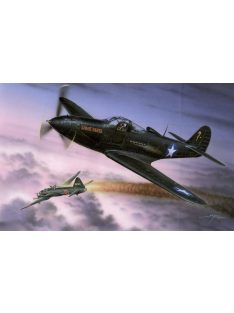 Special Hobby - P-39Q Makin Airacobras Hi-tech