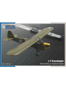   Special Hobby - L-4 Grasshopper From Africa to Central Europe