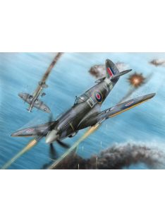 Special Hobby - Spitfire F Mk.21 No.91 Sq.RAF in WWII