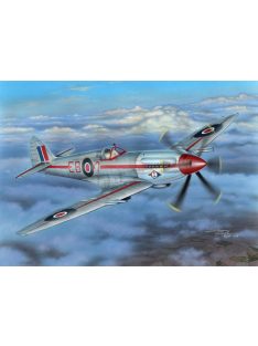 Special Hobby - Supermarine Spitfire Mk.21 Contraprop