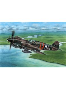 Special Hobby - P-40E Warhawk Claws and Teeth