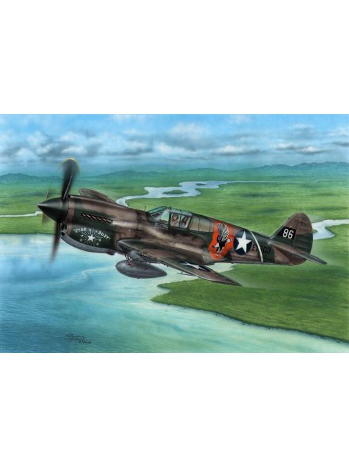 Special Hobby - P-40E Warhawk Claws and Teeth