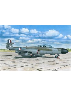 Special Hobby - AW Meteor NF MK12