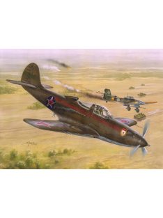 Special Hobby - P-39 "Soviet Guard Regiments"