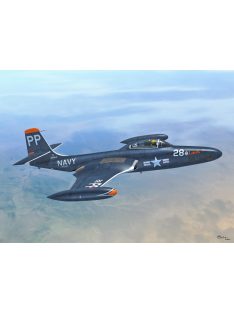 Sword - 1/72 F2H-2P - Sword models