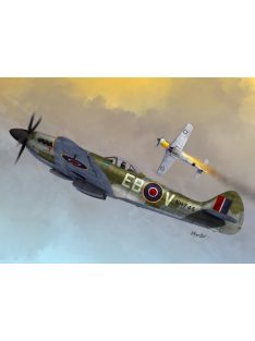 Sword - 1/72 Spitfire Mk.XIV Bubble top