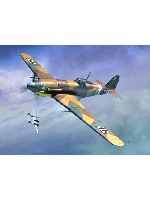 Sword - 1/72 Fiat G.55 2in1 - Sword models