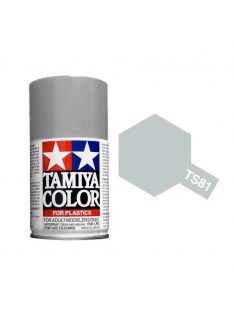 Tamiya - TS-81 Royal Light Gray, gloss