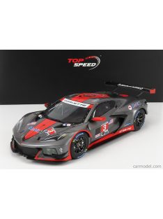   Truescale - Chevrolet C8.R 5.5L V8 Team Corvette Racing N 3 12H Sebring 2021 Red Grey