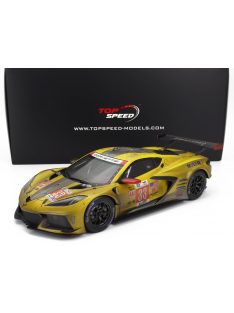   TrueScale - CHEVROLET CORVETTE C8.R 5.5L V8 TEAM CORVETTE RACING N 33 ( AFTER RACE WEATHERED VERSION ) WINNER LMGTE AM CLASS 24h MANS 2023 N.CATSBURG - B.KEATING - N.VARRONE YELLOW GREY