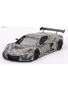   TrueScale - CADILLAC CORVETTE Z06 GT3.R N 0 SEBRING TEST CAR 2022 GREY YELLOW